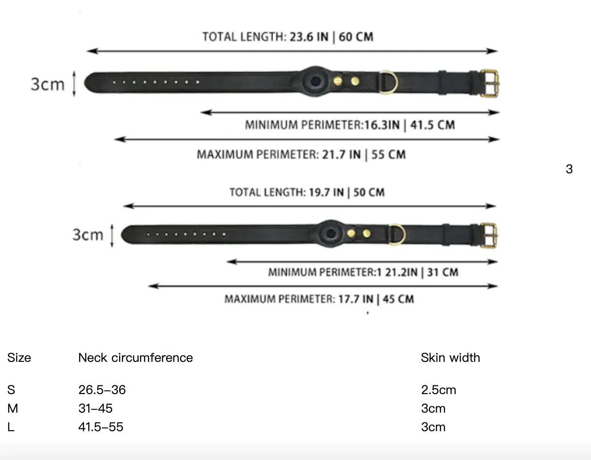 Leather Dog Collar with Location Tracker