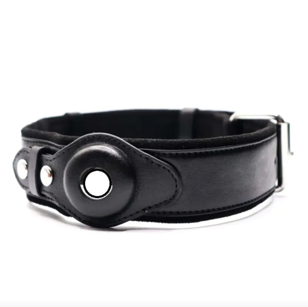 Leather Dog Collar with Location Tracker